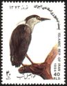 Black-crowned Night-heron (Nycticorax nycticorax)